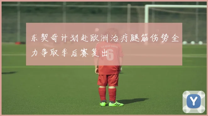 东契奇计划赴欧洲治疗腿筋伤势全力争取季后赛复出