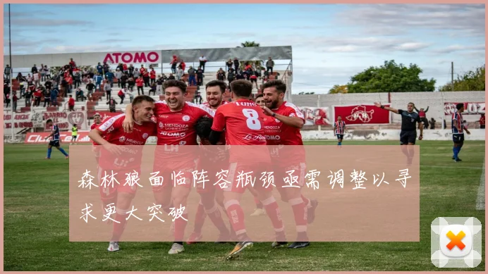 森林狼面临阵容瓶颈亟需调整以寻求更大突破