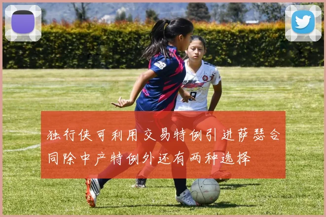 独行侠可利用交易特例引进萨瑟合同除中产特例外还有两种选择